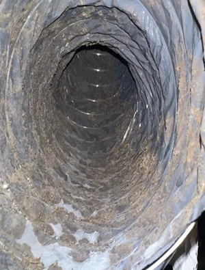 Dryer vent with heavy lint and debris before professional cleaning